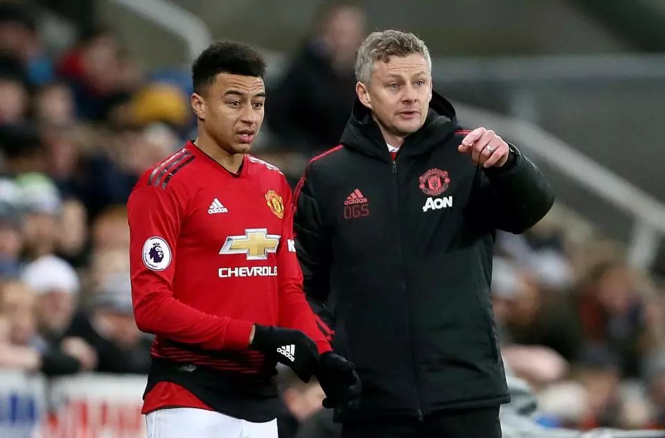 中逐渐发挥 中逐渐发挥